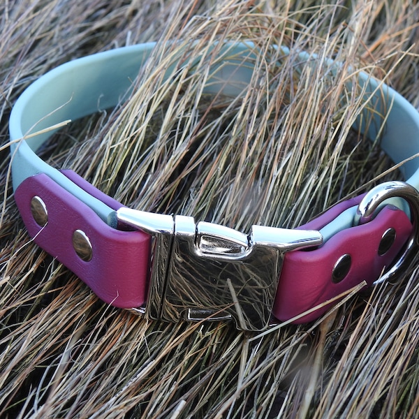 Side Release Buckle / Dog Collar / Sage and Wine / Two Tone / Biothane Dog Collar