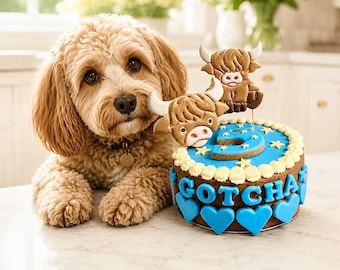 Gotcha Day 6” Dog Cake