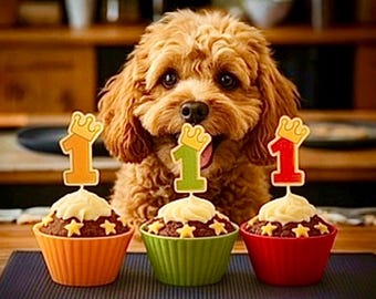 DOG XL Biscuit Numbered Pupcake