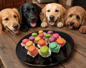 Luxury Dog Macaron Gift Box I 16 Treats