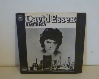 1974 original vinyle record  David ESSEX America pop rock