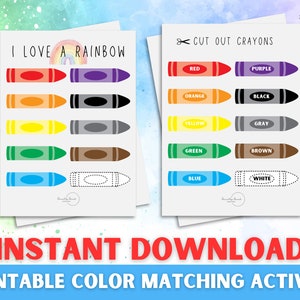 Color Matching Game, Busy Book Printable, Educational Activity, Homeschool Worksheet, Busy Binder for Toddlers