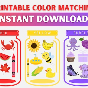 Color Matching Game, Busy Book Printable, Educational Activity, Homeschool Worksheet, Busy Binder for Toddlers