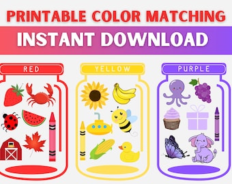 Color Matching Game, Busy Book Printable, Educational Activity, Homeschool Worksheet, Busy Binder for Toddlers