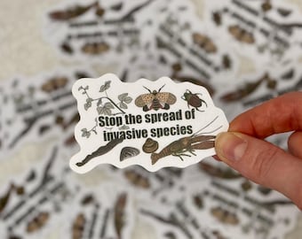 Invasive species awareness sticker | Nature and wildlife decal for laptops, water bottles, notebooks