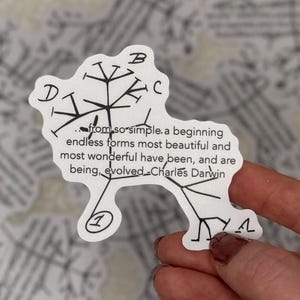Charles Darwin - Tree of Life sticker | Nature and wildlife,  decal for laptops, water bottles, and journals