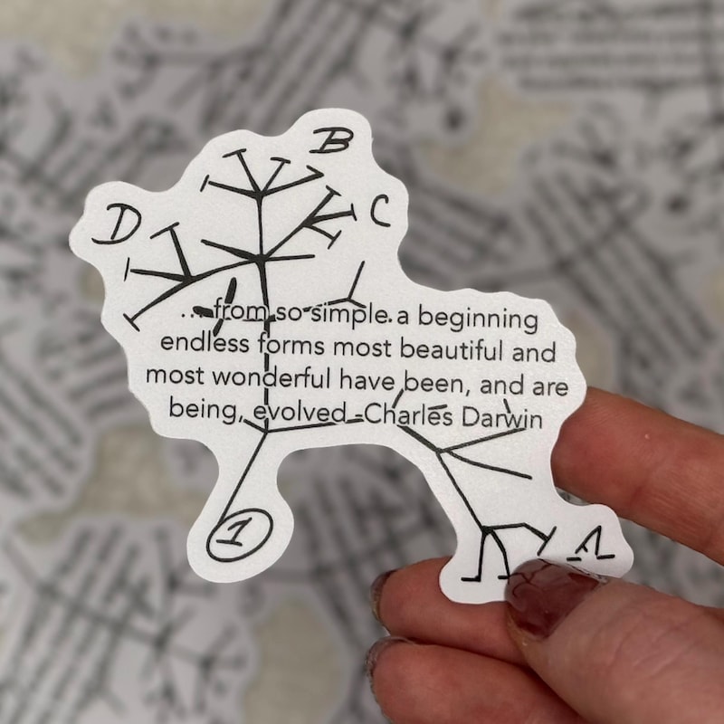 Charles Darwin - Etsy