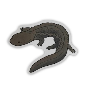 Hellbender, Nature sticker, Wildlife sticker for laptops, water bottles, notebooks, Waterproof vinyl decal