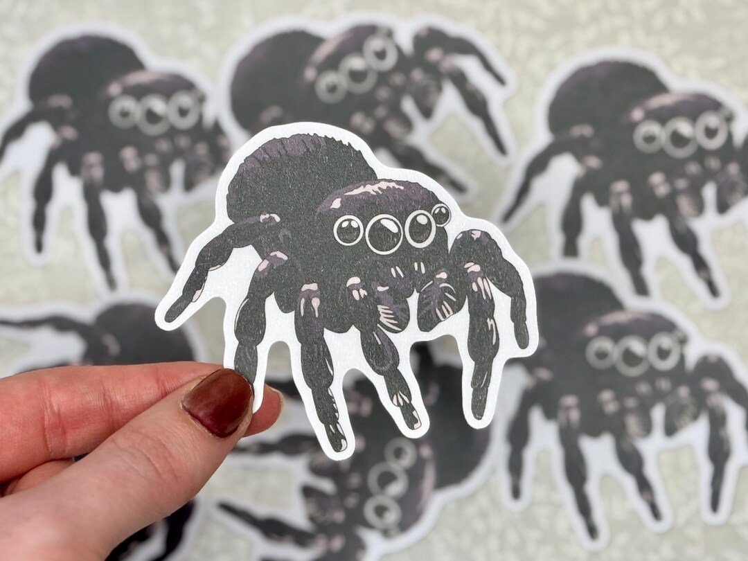 Jumping Spider Sticker | Nature and Wildlife, Arachnid Decal for ...