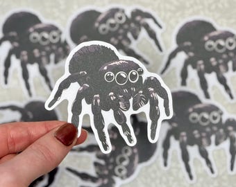 Jumping spider sticker | Nature and wildlife,  arachnid decal for laptops, water bottles, and journals