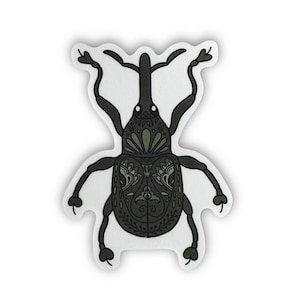 Beetle - weevil, Nature sticker, Wildlife sticker for laptops, water bottles, notebooks, Waterproof vinyl decal
