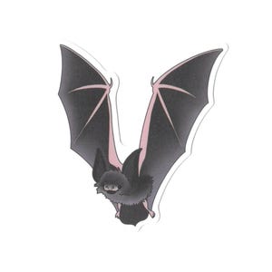 Bat Vinyl Sticker – Waterproof Wildlife Bat Decal for Nature Lovers and Halloween Enthusiasts, Sticker for laptops, water bottles, notebooks