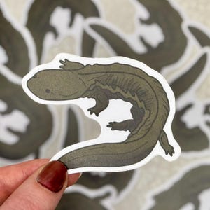 Hellbender Aufkleber | Natur und Wildtiere, gefährdete Arten Aufkleber für Laptops, Wasserflaschen und Journals