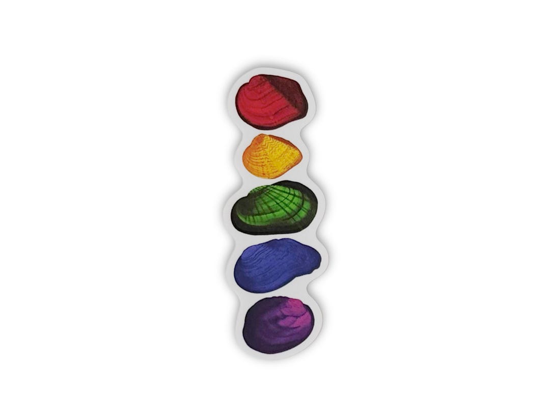 Rainbow Freshwater Mussel Sticker | Pride and Nature, Waterproof Vinyl ...