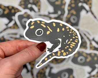 Spotted salamander sticker | Nature and wildlife, amphibian decal for laptops, water bottles, notebooks