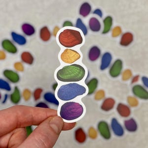 Rainbow freshwater mussel sticker | Pride and nature, queer decal for laptops, water bottles, and journals