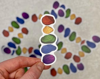 Rainbow freshwater mussel sticker | Pride and nature, queer decal for laptops, water bottles, and journals