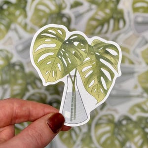 Monstera plantensticker | Wetenschap en laboratorium, plantsticker voor laptops, waterflessen, notebooks
