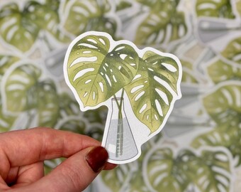Monstera plant sticker | Science and laboratory, plant decal for laptops, water bottles, notebooks