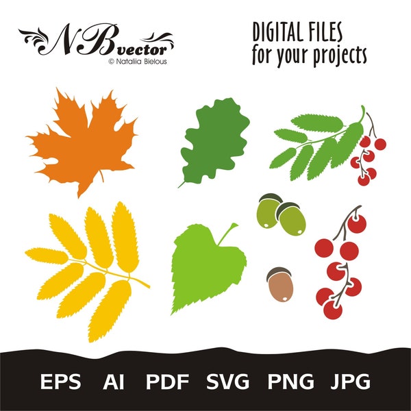 Different leaves - Digital file - ai, eps, pdf, svg, png, jpg (ZIP-archive) - Instant Digital Download - Cricut, Autumn fall svg, rowan eps