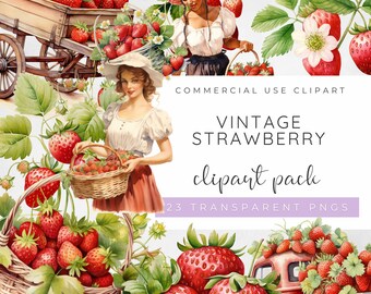 Vintage Strawberry Clipart, Retro Farm Girl PNGS, Cottage core Fruit, Watercolour Strawberry Basket Graphics, Summer Harvest Sublimation