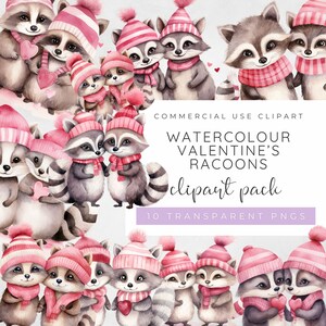 Valentines Racoons Clipart, Valentines Animal Clipart, Valentines Day Couple Clipart, Woodland Animal Clipart, Watercolour Valentines PNG