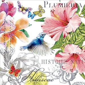 Decoupage Napkins | Paradise Design | 2 Cocktail size | 3ply paper