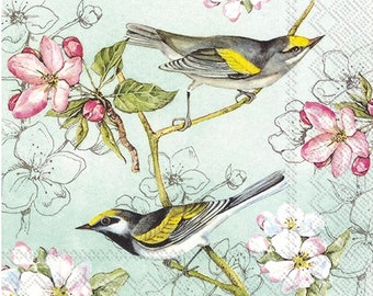 Decoupage Napkins | Birds symphony green Design | 2 cocktail size | 3 ply