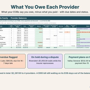 Provider balances table showing what the family owes each provider with overdue, on hold and payment plan status