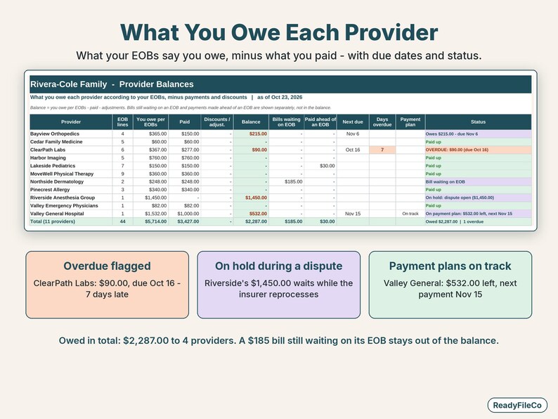 Provider balances table showing what the family owes each provider with overdue, on hold and payment plan status