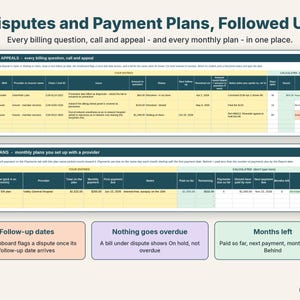Disputes log with follow-up dates and a payment plan tracker showing months left and on track status