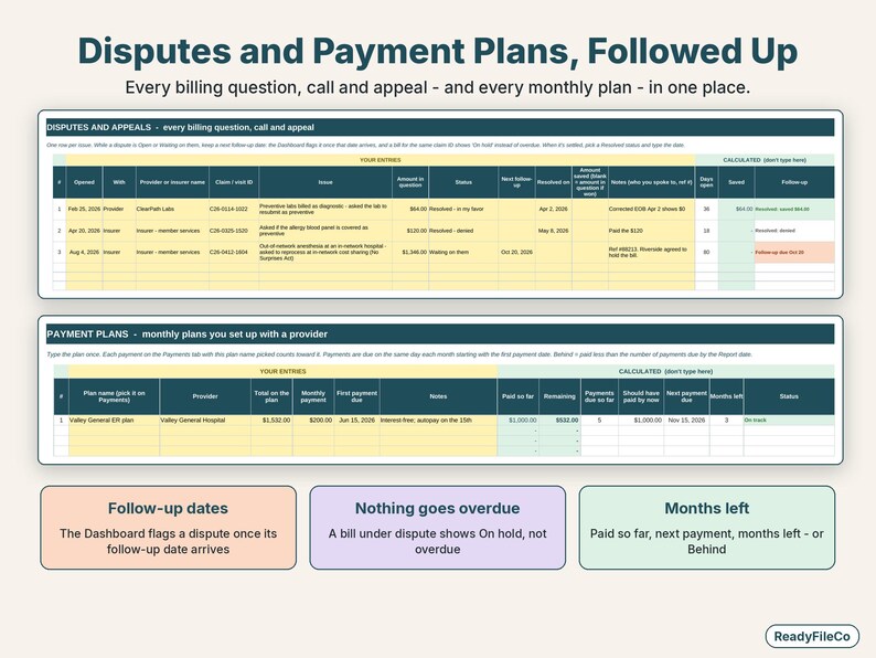 Disputes log with follow-up dates and a payment plan tracker showing months left and on track status