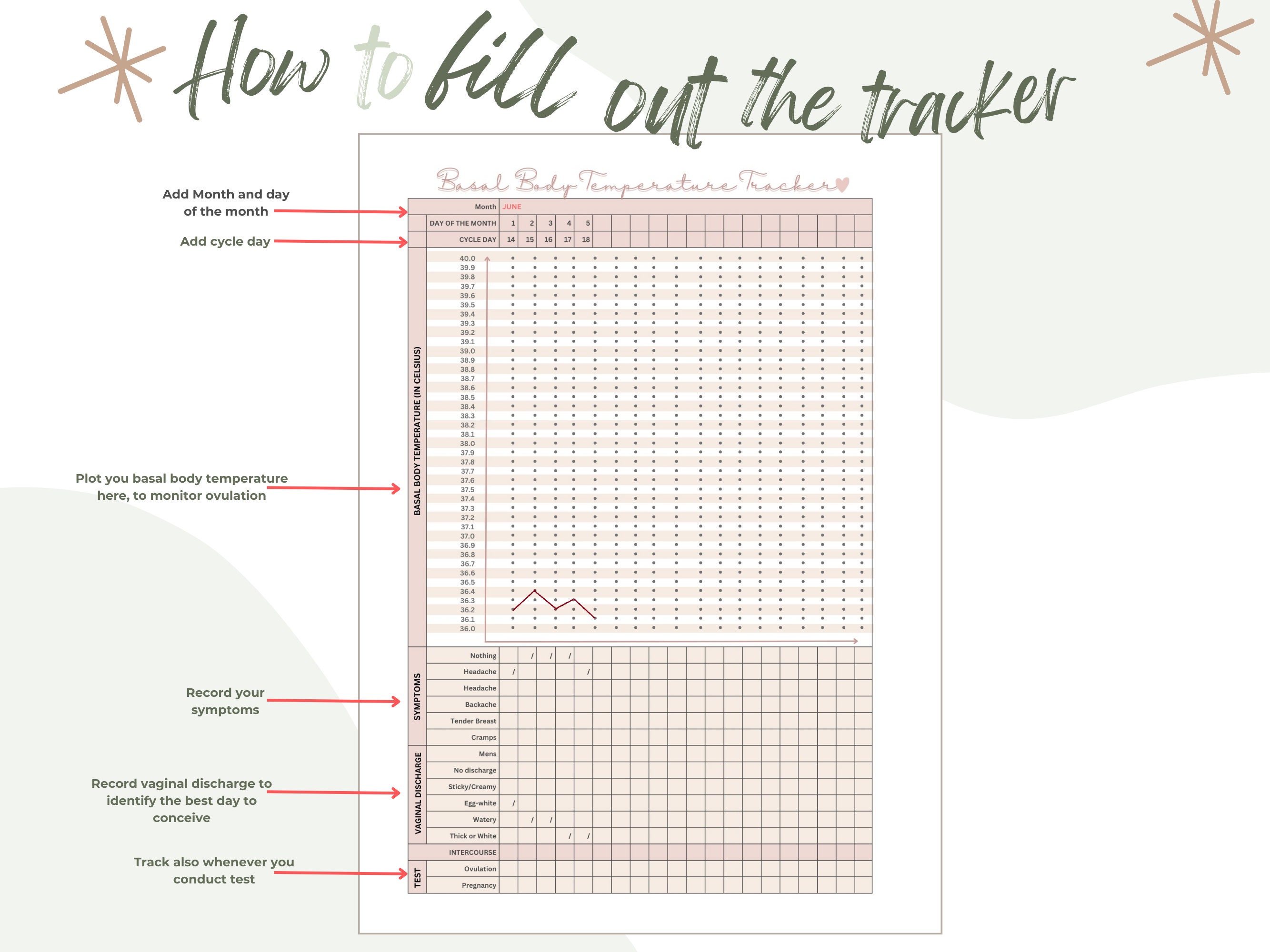 Printable Basal Body Temperature Chart, Instant Download Ovulation and