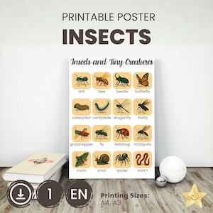 Może przedstawiać: Plakat do wydruku z ilustracjami owadów, w tym mrówki, pszczoły, chrząszcza, motyla, gąsienicy, stonogi, ważki, świetlika, konika polnego, muchy, biedronki, komara, ćmy, ślimaka, pająka i robaka. Plakat zawiera tekst "Printable Poster Insects".