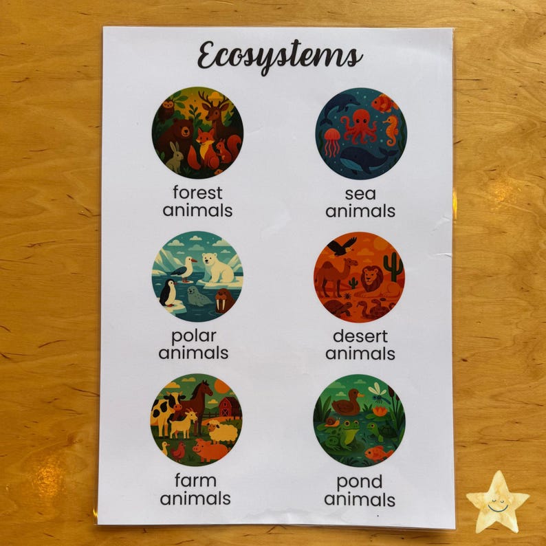 Ecosystems Educational Poster for Kids | Montessori Learning Printable ...