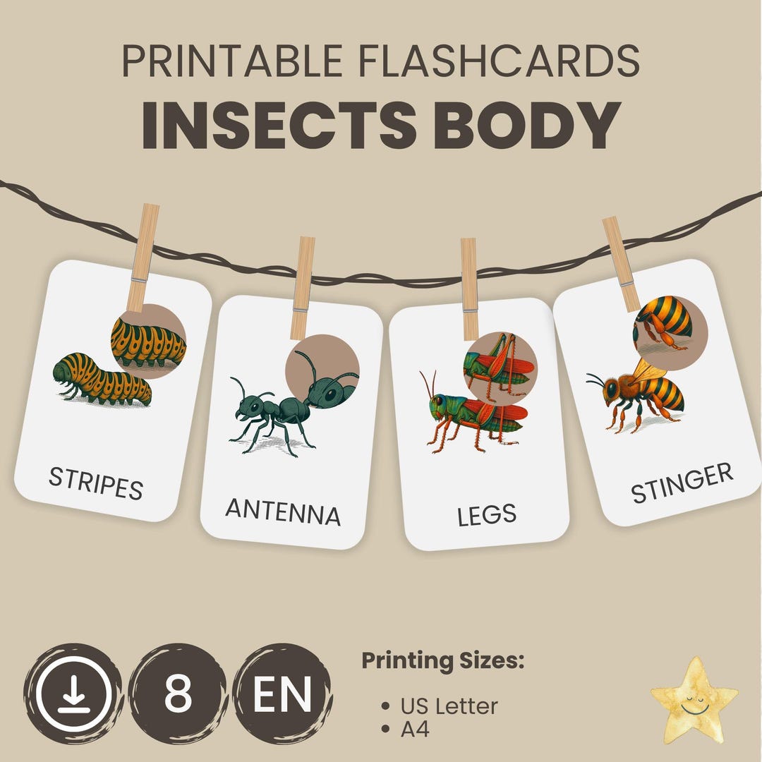 Insect Anatomy Flash Cards for Kids | Montessori Inspired Printable ...