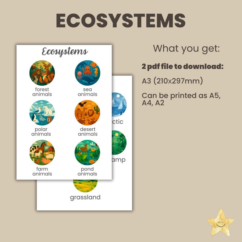 Ecosystems Educational Poster for Kids | Montessori Learning Printable ...