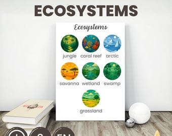 Ecosystems Educational Poster for Kids | Montessori Learning Printable | Preschool Classroom Decor