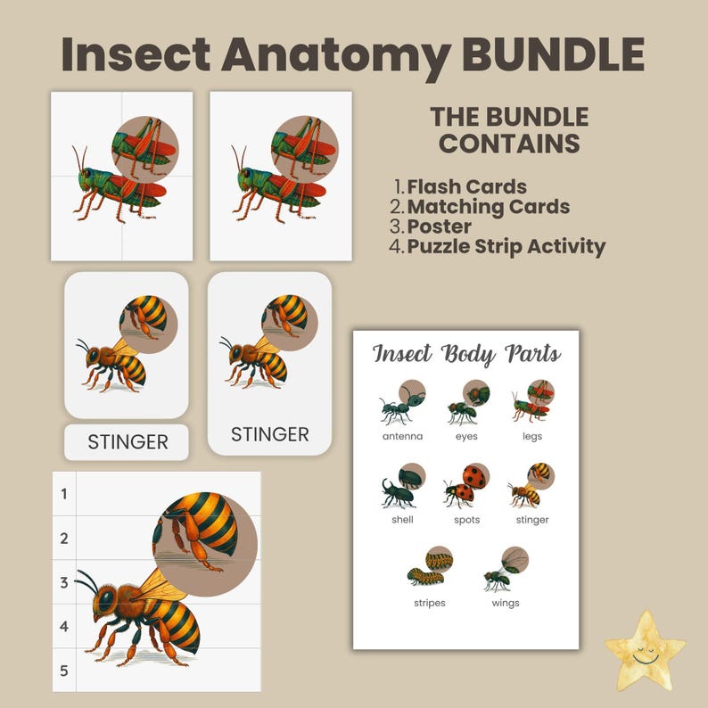 Insect Body Matching Insect Anatomy Learning Bundle – Flashcards, Matching Puzzle, Puzzle ...
