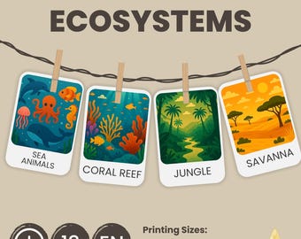 Tarjetas didácticas sobre ecosistemas para niños / Material imprimible Montessori / Educación preescolar en casa