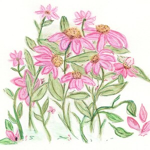 Summer Cone Flowers Greeting Card