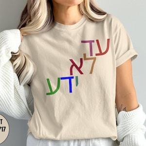 Purim Shirt, Queen Esther, Jewish Holiday, Am Yisrael Chai, Support Israel, Purim Sameach, Purim Gift, Passover Shirt, Fun Purim Costume