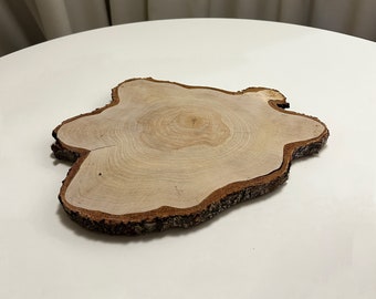 Grande tranche de bois de bouleau, décor en bois de forme irrégulière avec écorce