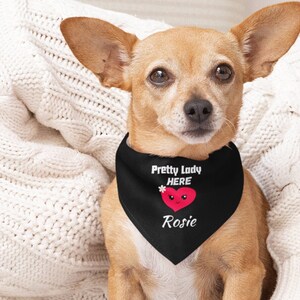 Personalized Dog Bandana | Pet Bandana Collar | Custom Pet Bandana | Funny Dog Bandana | Pet Neckwear | Funny Pet Gift | Dog Gift