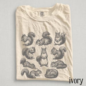 May include: A cream-colored t-shirt featuring a dark gray graphic print of nine squirrels in various poses. The shirt has a crew neckline and a Comfort Colors brand label printed on the inside of the collar. The design displays squirrels sitting, standing, and curled up in a detailed, etched illustration style.