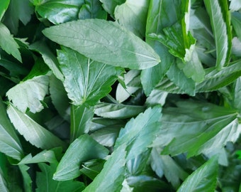 Ewedu (hojas de yute)
