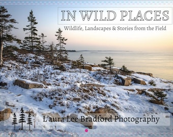 2027 Nature Photography Calendar – Maine, Washington, Scotland and France | Wildlife & Landscape Photography