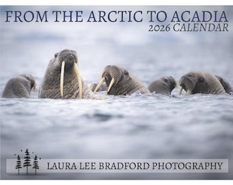 Calendrier 2026 de photographie de nature - Paysages du Maine, faune et aventures dans l'Arctique par L'aura Lee Bradford