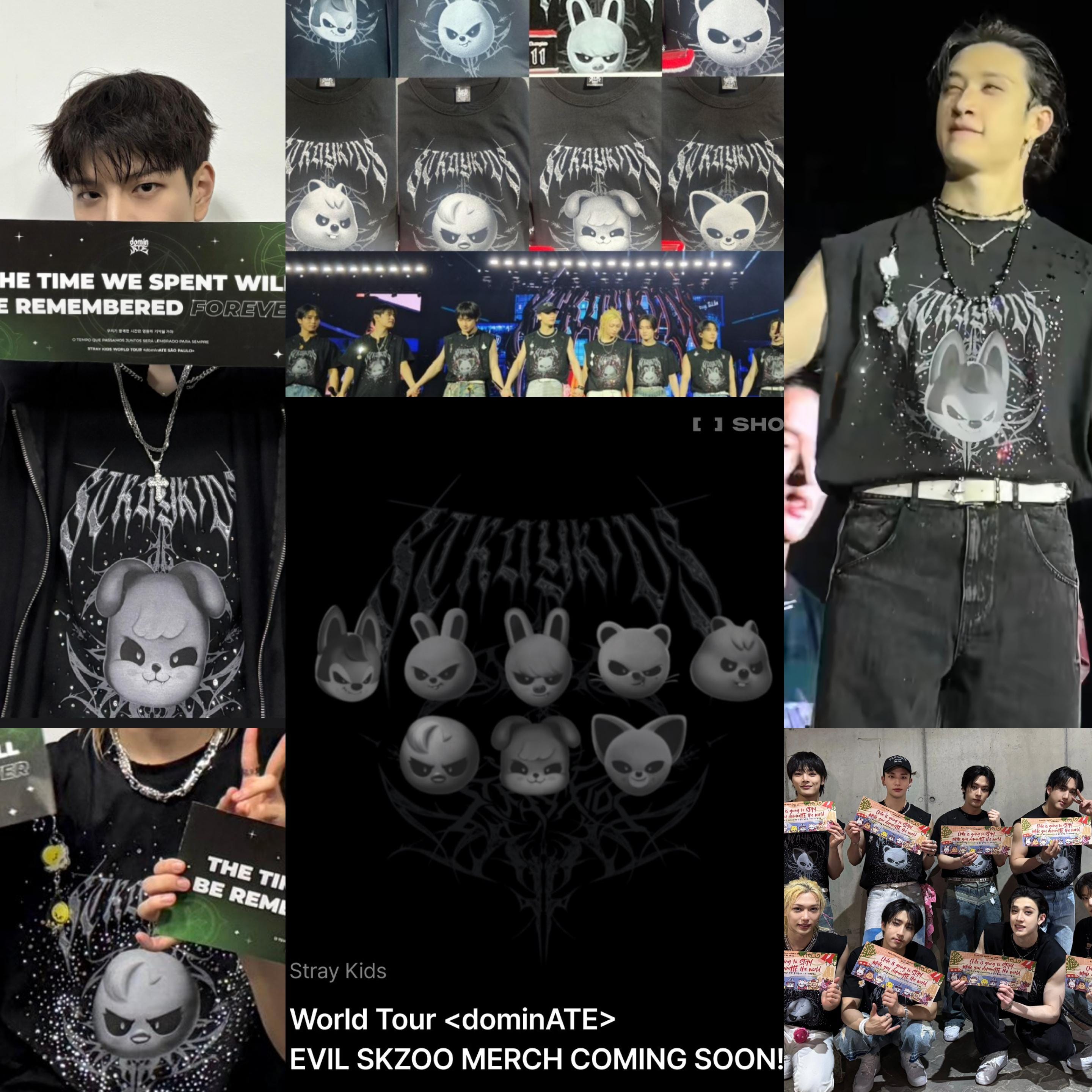 EVIL SKZOO Tシャツ　ジニレット EVIL SKZOO T-SHIRT - World Tour 'dominATE'【Jiniret】/ Stray