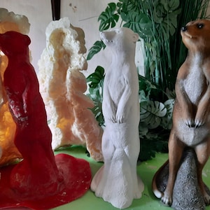 Latex mold Latex casting mold Meerkat Mold